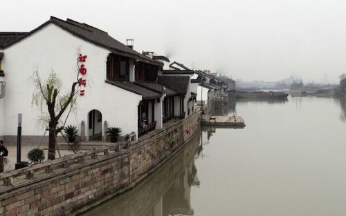 红色鹦鹉逃脱